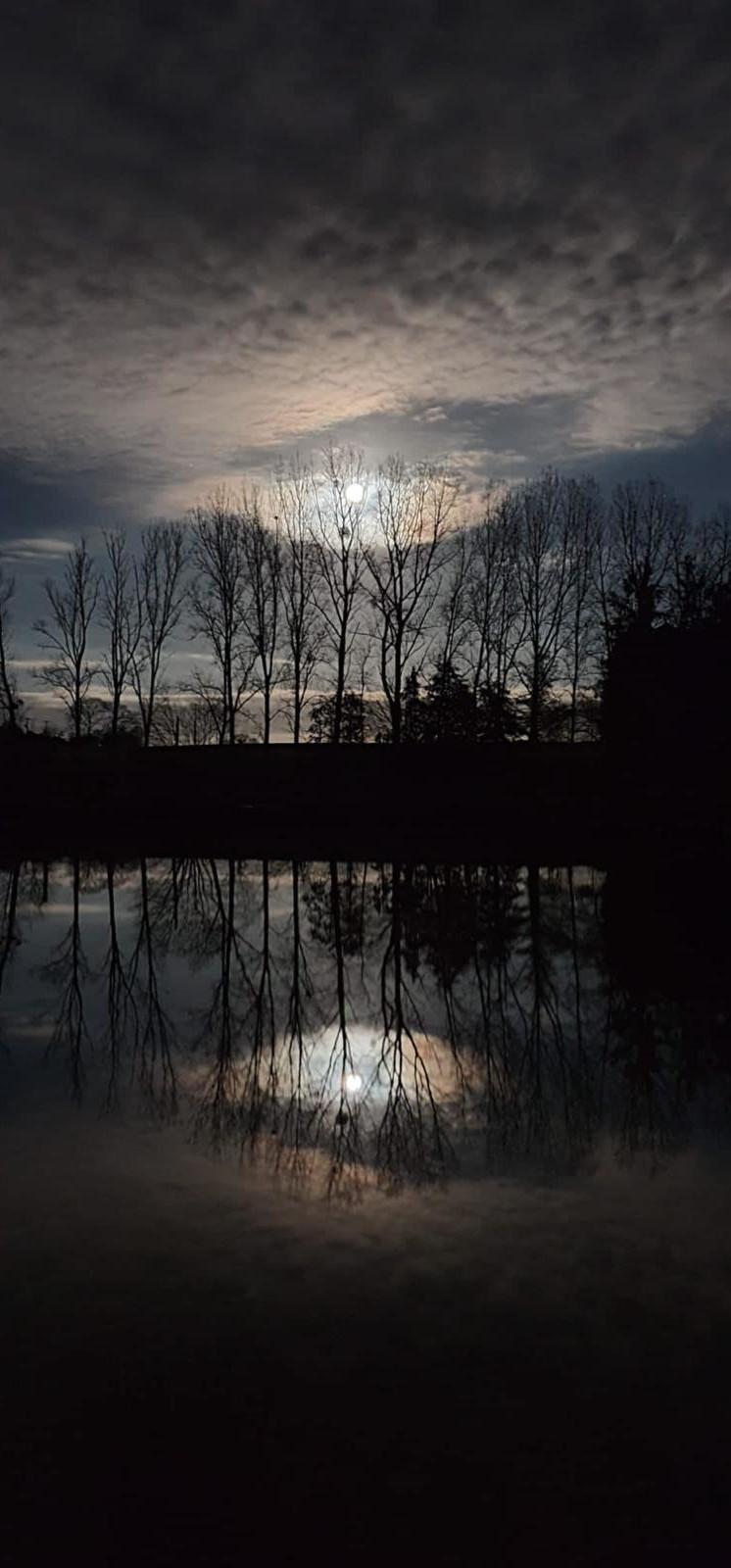 Lake Views Gallery – Mystique Lake Fishing Holidays